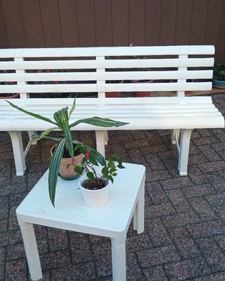 2 panchine in plastica + tavolino per giardino