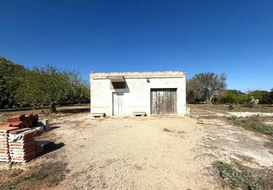 CASA INDIPENDENTE A MESAGNE