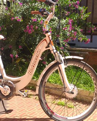 bicicletta elettrica 