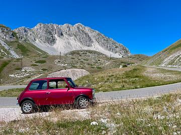 Mini minor rover mayfair 1cc bordeaux 1992 cat