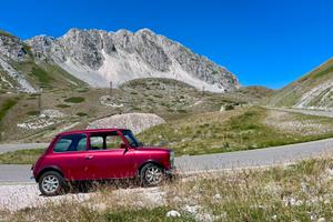 Mini minor mayfair 1000 cat 1992