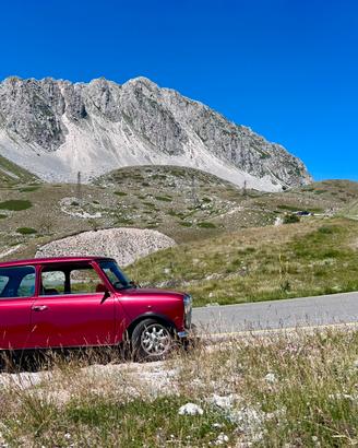Mini minor rover mayfair 1cc bordeaux 1992 cat