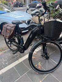 Bicicletta elettrica Alpina