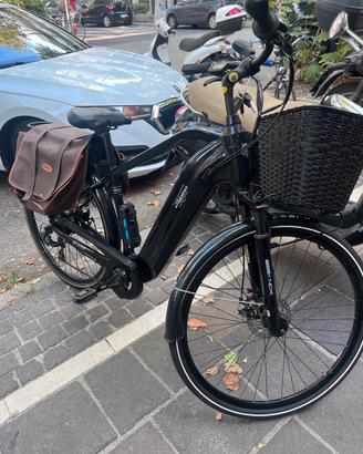 Bicicletta elettrica Alpina