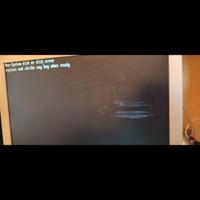 Monitor Samsung 19 pollici LCD con difetto