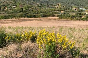 Terreni a san vittore olbia