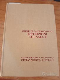 Sant'Agostino, esposizioni sui salmi XXVI