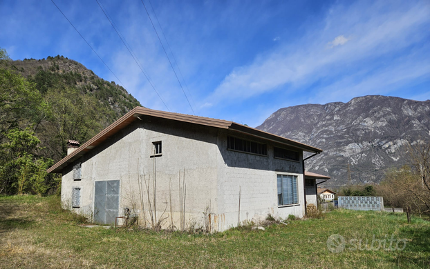 Capoanone agricolo/ industriale