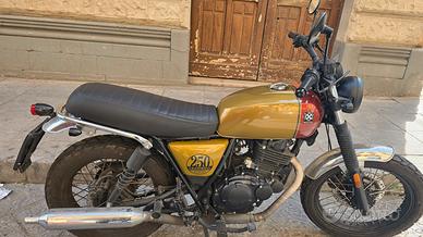 Brixton 250