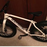 Specialized Fat Boy taglia L