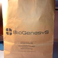 Magnetoterapia Byogenesys bgs 30