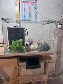 Acquario completo 49x31x32 cm