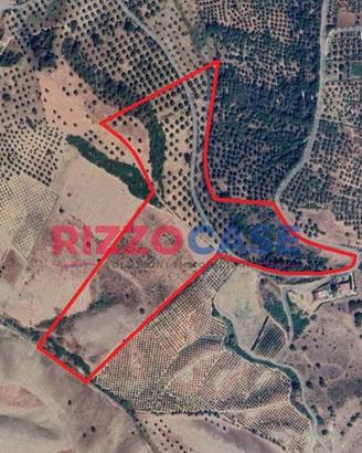 Terreno agricolo - Corigliano-Rossano