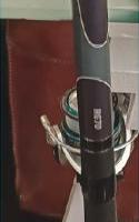 CANNA BOLOGNESE DA PESCA DAIWA AGS 7 MT