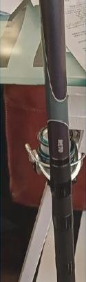CANNA BOLOGNESE DA PESCA DAIWA AGS 7 MT