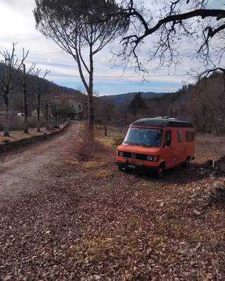 mercedes 207D camper 