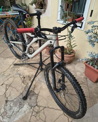 specialized stumjumper  2020