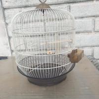 Gabbia per uccellini 