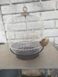 Gabbia per uccellini 