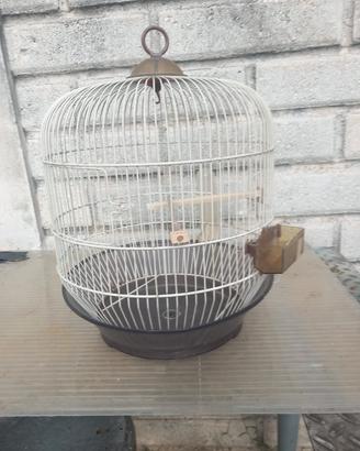 Gabbia per uccellini 