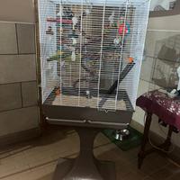 gabbia per pappagalli 