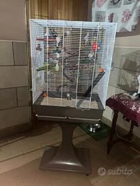 gabbia per pappagalli 