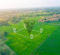 Vendita Terreni Produttivi - Chioggia (VE)