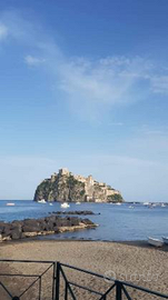 Ischia casa sul mare