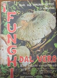 LIBRO QUALITA' FUNGHI