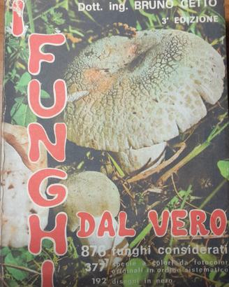 LIBRO QUALITA' FUNGHI