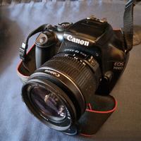 Canon D1100 reflex