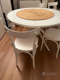Sedie in legno colore bianco