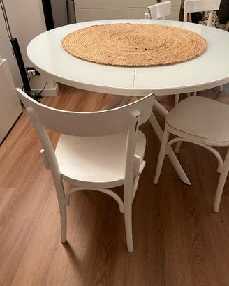 Sedie in legno colore bianco