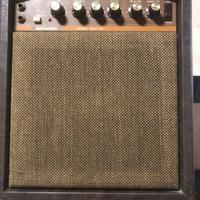 Acoustic G20-110 Vintage Guitar Combo – Made USA