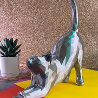 Gattino che si stiracchia