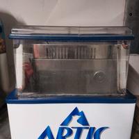 ghiacciaia da banco per esposizione liquori