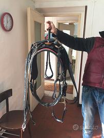 finimento da trotto WALSH