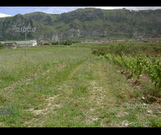 Terreno agricolo seminativo