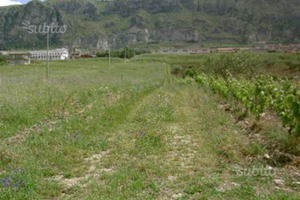 Terreno agricolo seminativo