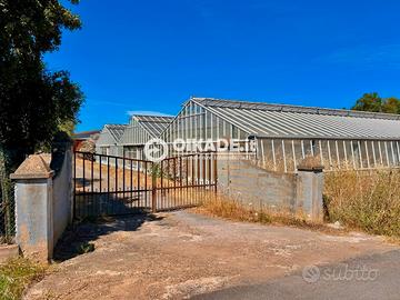 Pula "Loc. Baustella" - Terreno agricolo con serre