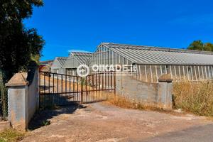 Pula "Loc. Baustella" - Terreno agricolo con serre