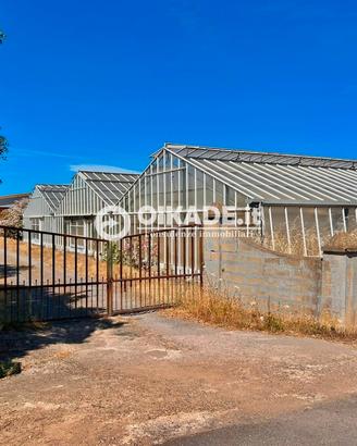 Pula "Loc. Baustella" - Terreno agricolo con serre