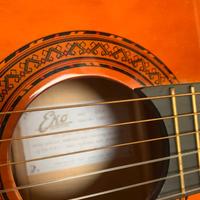Chitarra acustica eko