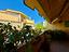 Immagine 24