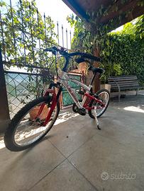 Bicicletta bambini