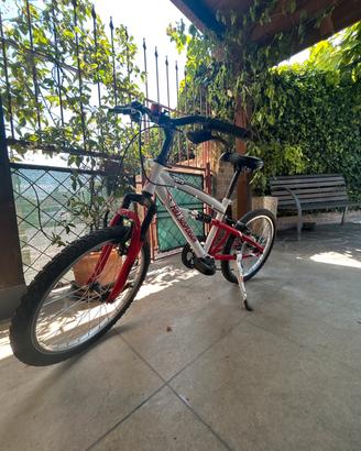 Bicicletta bambini