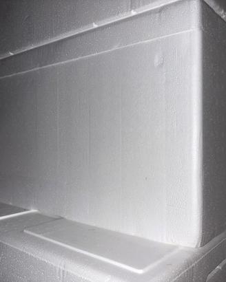 Contenitori polistirolo refrigerante