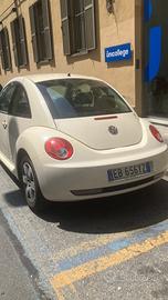 splendido new beetle