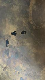 Set oliera vintage victoria Sheffield colleciTion