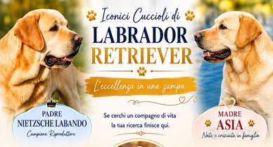 CUCCIOLO FIGLIO CAMPION (CESSIONE TOTALE)  1.100 €